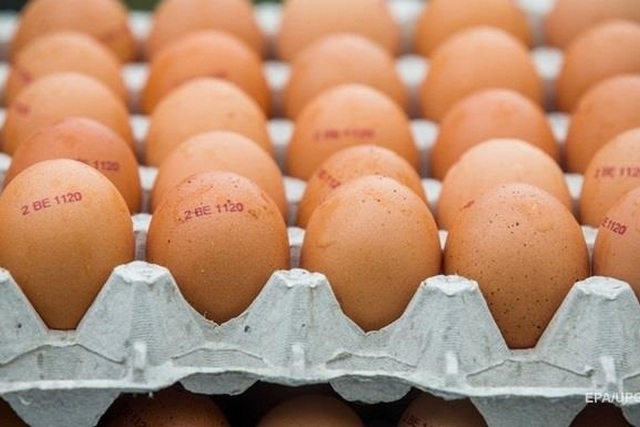 В Украине будут по-новому продавать куриные яйца