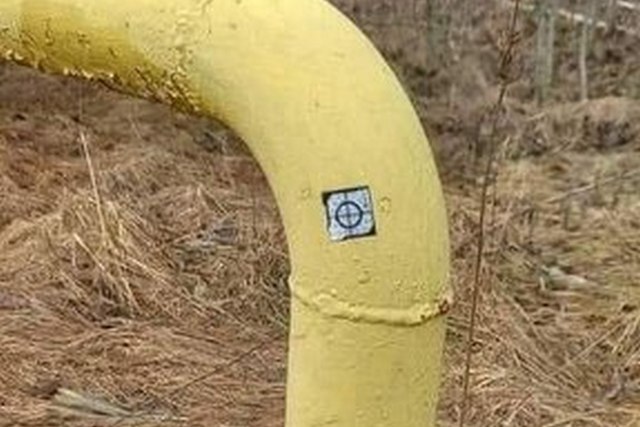   䳿        