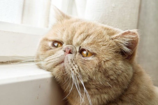 , , :        