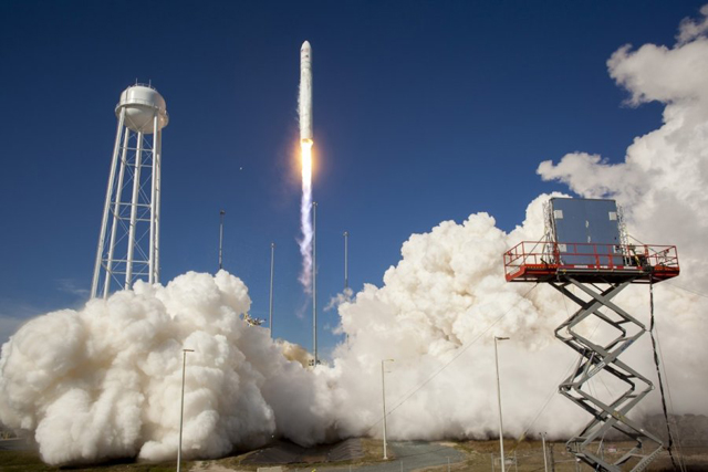       Cygnus    