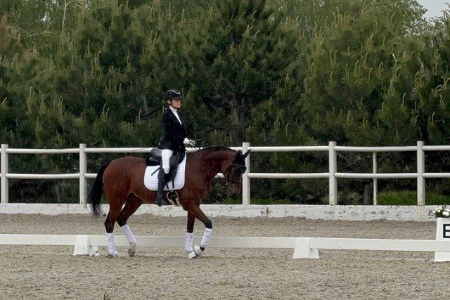    Klimenko Stable Cup  