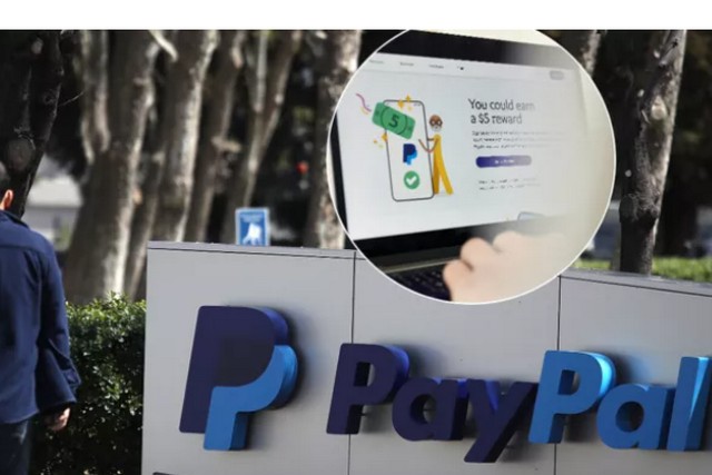 PayPal    :    
