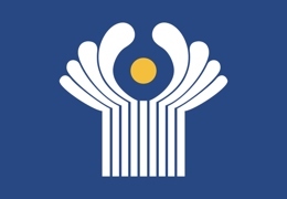       20  :     