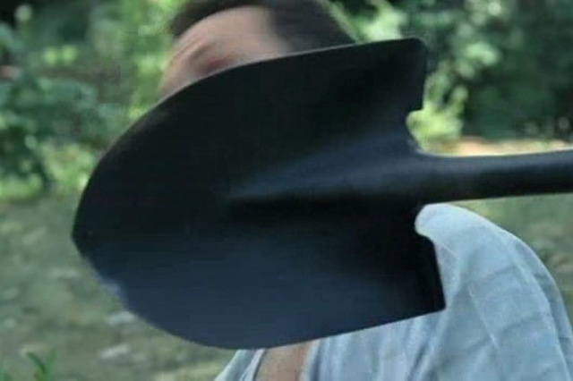 ϳ      
