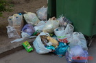Вонь и переполненные контейнеры: решили ли в Днепре проблемы с вывозом мусора